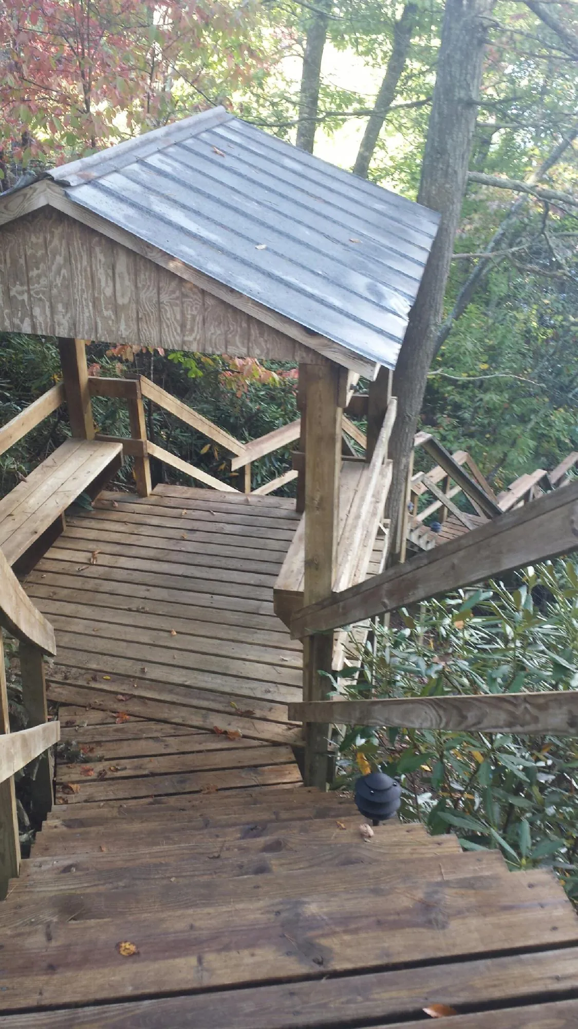 Metal roofed shelter over wooden steps on a wooded walkway — Skylight Repair & Installation work by our crew in Hawesville