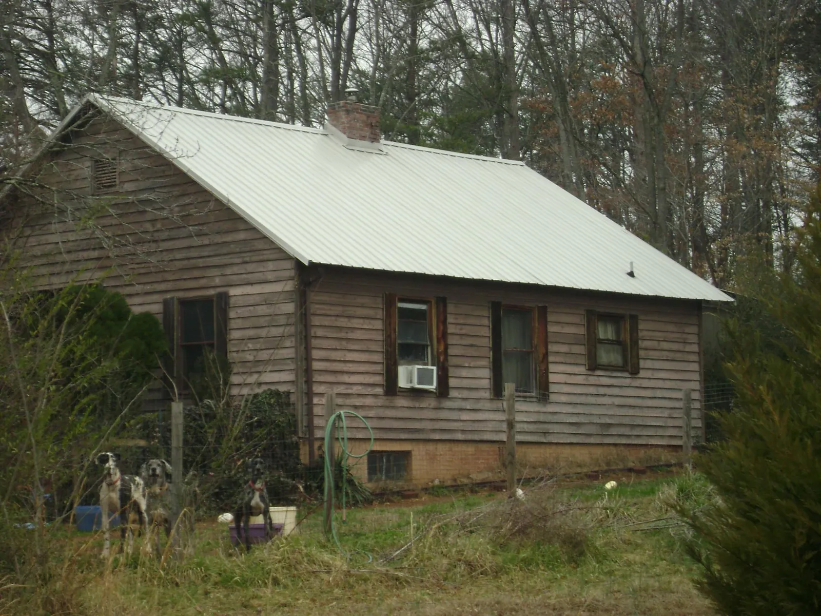 White metal roof on an old wood sided farmhouse, from a Asphalt Shingle Roof Repair job in Hawesville